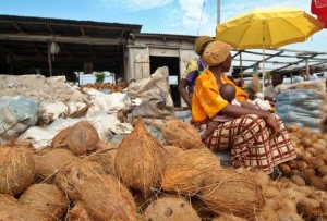 Badagry coconut market