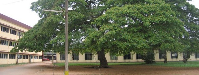 Igbobi College