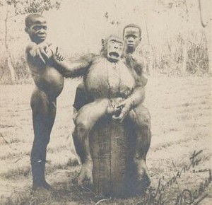 A Young Gorilla and two boys in Asaba, 1906. What differentiates these two primate species most strikingly is the quality of their brains, hence, their minds.