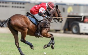 a polo player on the horse
