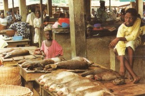 bushmeat market in the 1970s